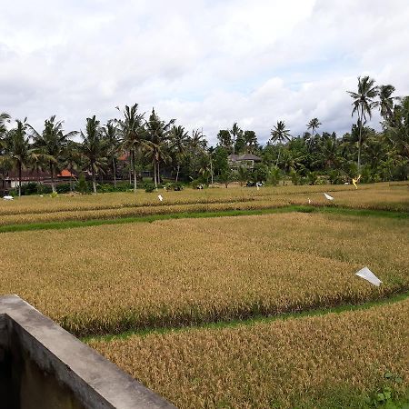 Umah Dangin Guest House Ubud Kültér fotó
