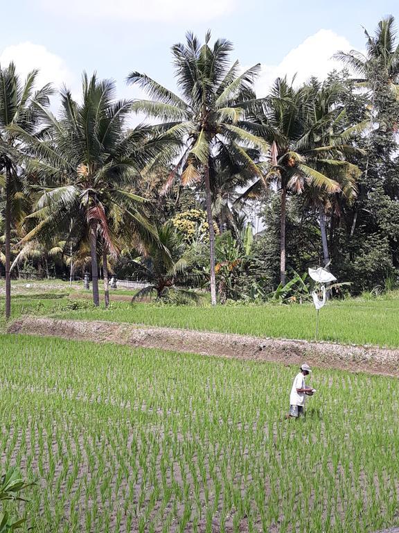 Umah Dangin Guest House Ubud Kültér fotó